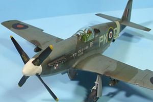 RAF Mustang III Gallery